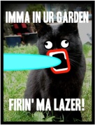 lolcatshoop